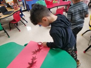 We investigated the leaves using magnifying lenses.