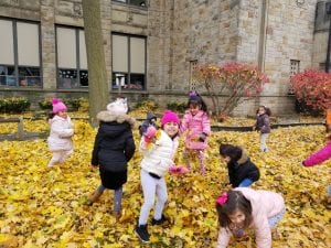 We made big piles of leaves to jump into!