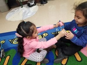 We worked with our carpet buddies on noticing how our faces change when we are smiling and happy. We help up a mirror for our buddy to notice how when they smile; their eyes open big, their cheeks raise up, and their smile forms on their face.