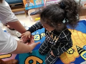 We had a scientist visit our classroom. She taught us about the differences between arachnids and insects. Here she is showing us a live Madagascar Cockroach!