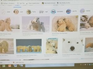 We learned facts about polar bears! We learned that polar bears live in the Arctic and have black skin under their fur. 