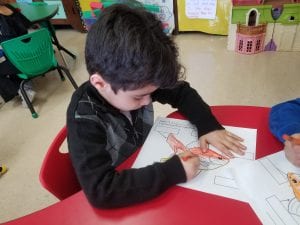 We are learning about the parts of the goldfish with a diagram we are working on.