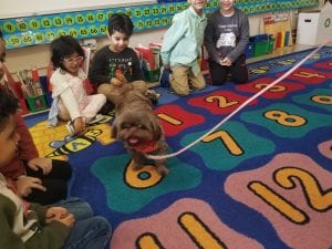 It was so much fun visiting with Buttons!