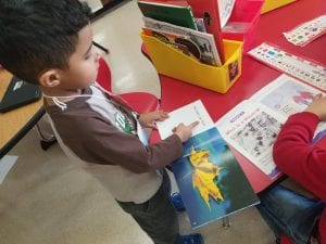 We have been learning about informational text!
