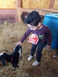 We went to the Real Life Farm!