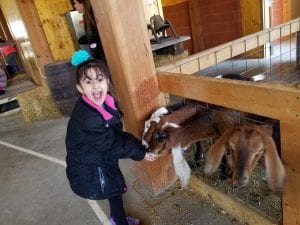 We went to the Real Life Farm!