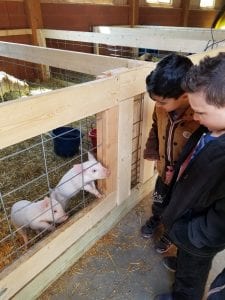 We went to the Real Life Farm!