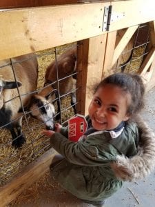 We went to the Real Life Farm!