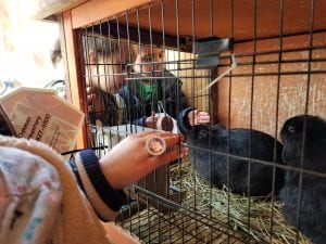 We went to the Real Life Farm!