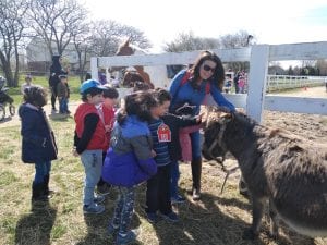 We went to the Real Life Farm!