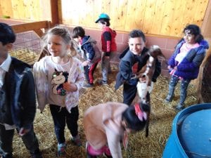 We went to the Real Life Farm!