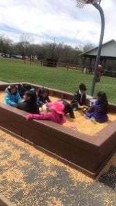 We went to the Real Life Farm!