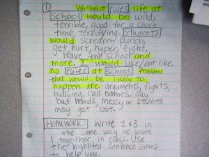SS Fed Gov Essay practice