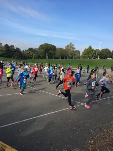 nora-cip-run