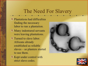 southern-colonies-3