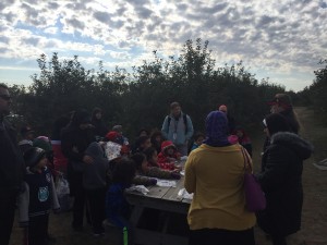 Erwin's Apple Orchard 