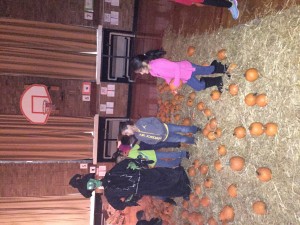 We are crazy about pumpkins at Oakman!