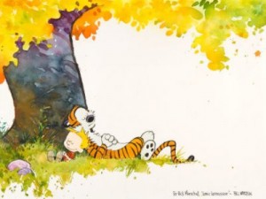 calvin