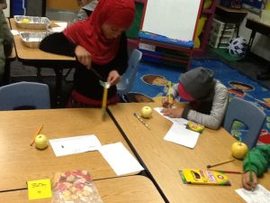 photo-10