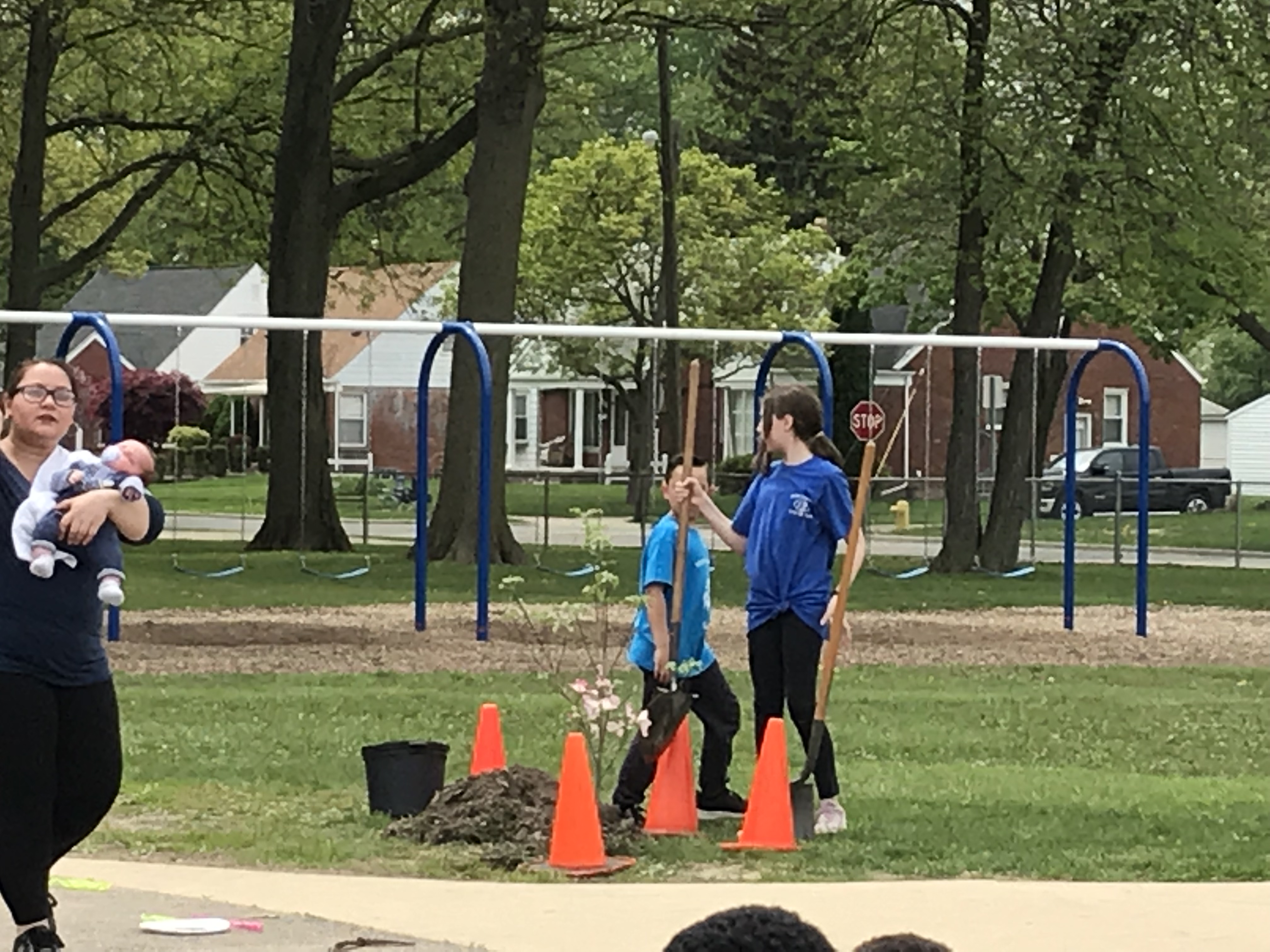 Planting a new tree