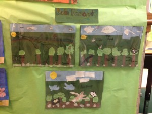 Rainforest