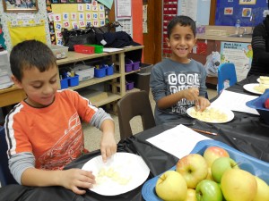 Omar and Hussein are doing a great job chopping apples for the applesauce. 