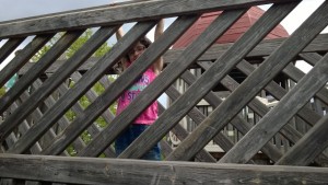 WP_20150526_045