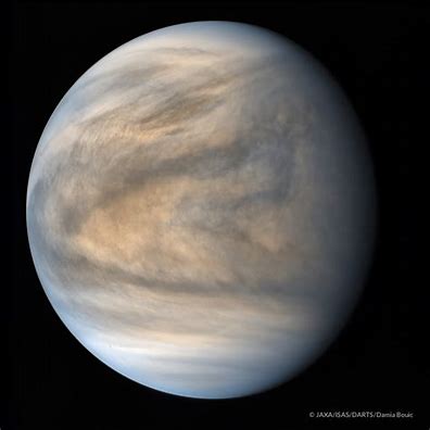 Image result for image of venus