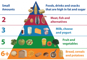 food-pyramid.jpg (590×408) - Google Chrome 2015-11-24 08.48.40