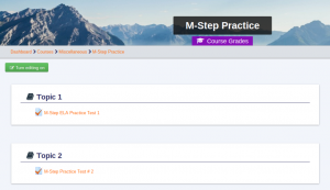 M-Step Practice Course