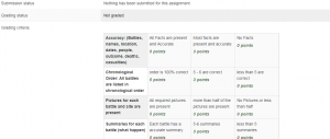 rubric for mapping assignment