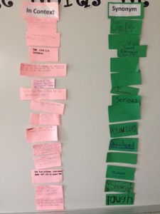 photo_3[1]