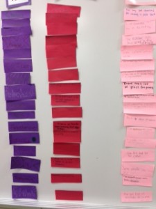 photo 1 (2)