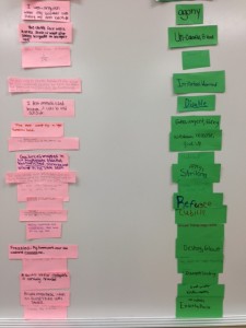 photo 1 (3)