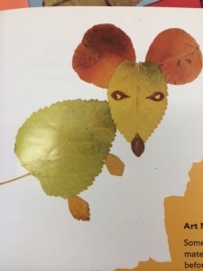 photo 1 (6)