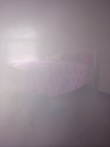 photo 3 (36)