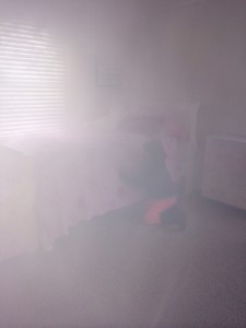 photo 4 (29)