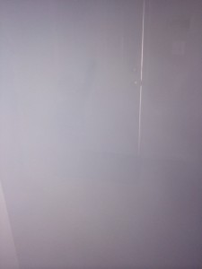 photo 5 (19)