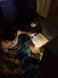 photo 4 (3)