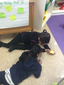photo 4 (21)