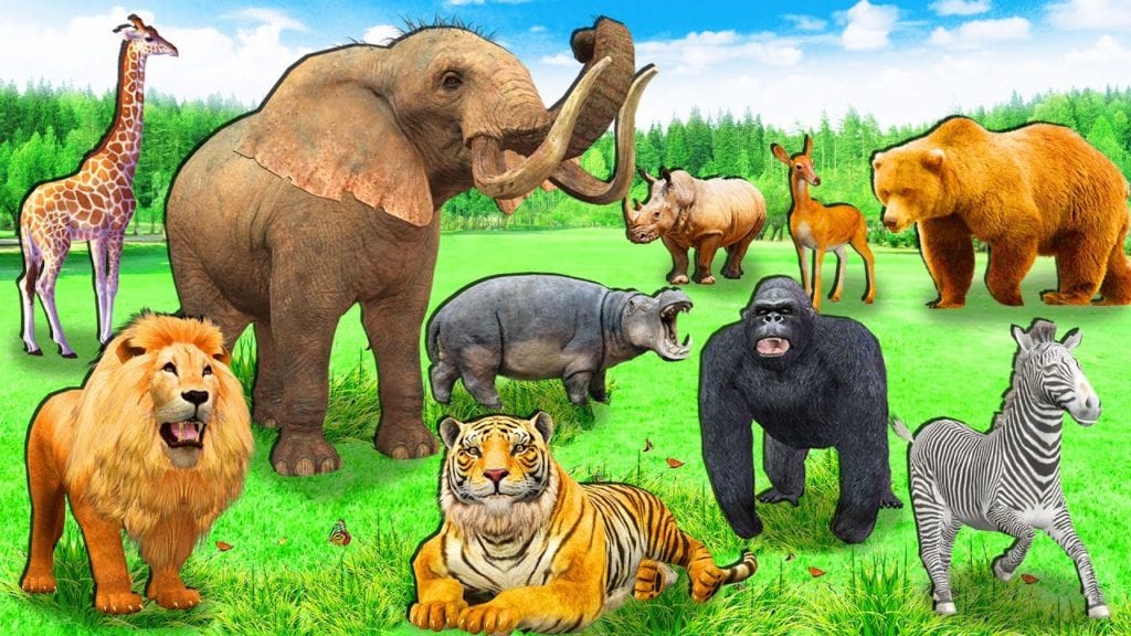 Clipart picture of different animals outside at the zoo.