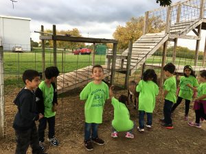 20161018_144213457_ios