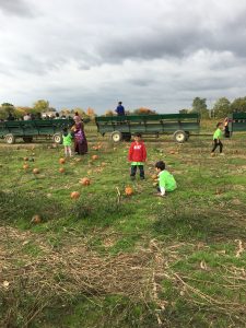 20161018_152956347_ios