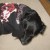 Profile picture of Kimberly O'Rourke