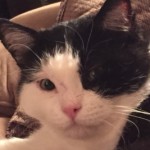 Profile picture of Rachel Jodway