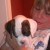 Profile picture of Bernadette Quinney