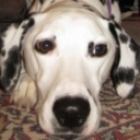 Profile picture of Monica Hankins