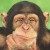 Profile picture of Mr. Crawford
