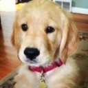 Profile picture of Andrea Mcmahon