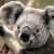 Profile picture of Kim Day